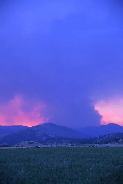 DSC_1849 (Large).JPG